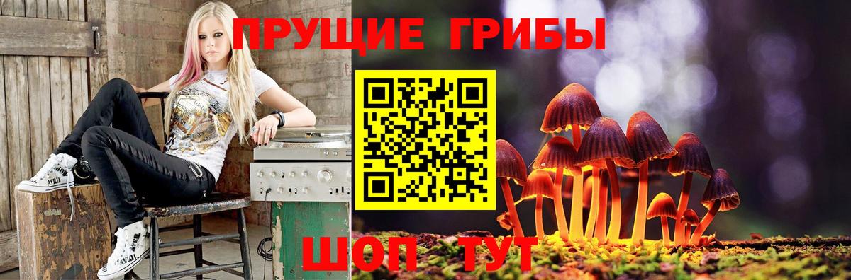 Псилоцибиновые грибы GOLDEN TEACHER  Вход с VPN  Электросталь 